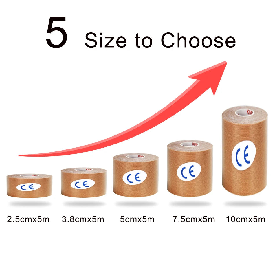 Hddbe78bb427646c1b1f3a6a8ab2dd72cG